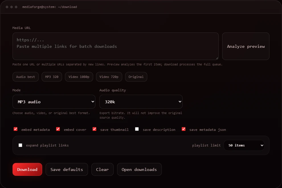 Actual MediaForge interface with URL input, presets, formats and metadata options